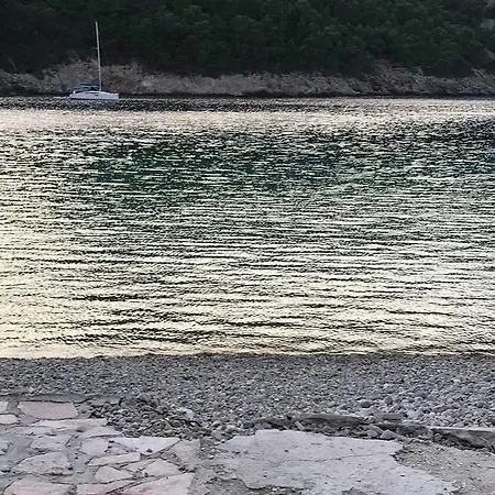 公寓 Assos Sea Front 凯法利尼亚